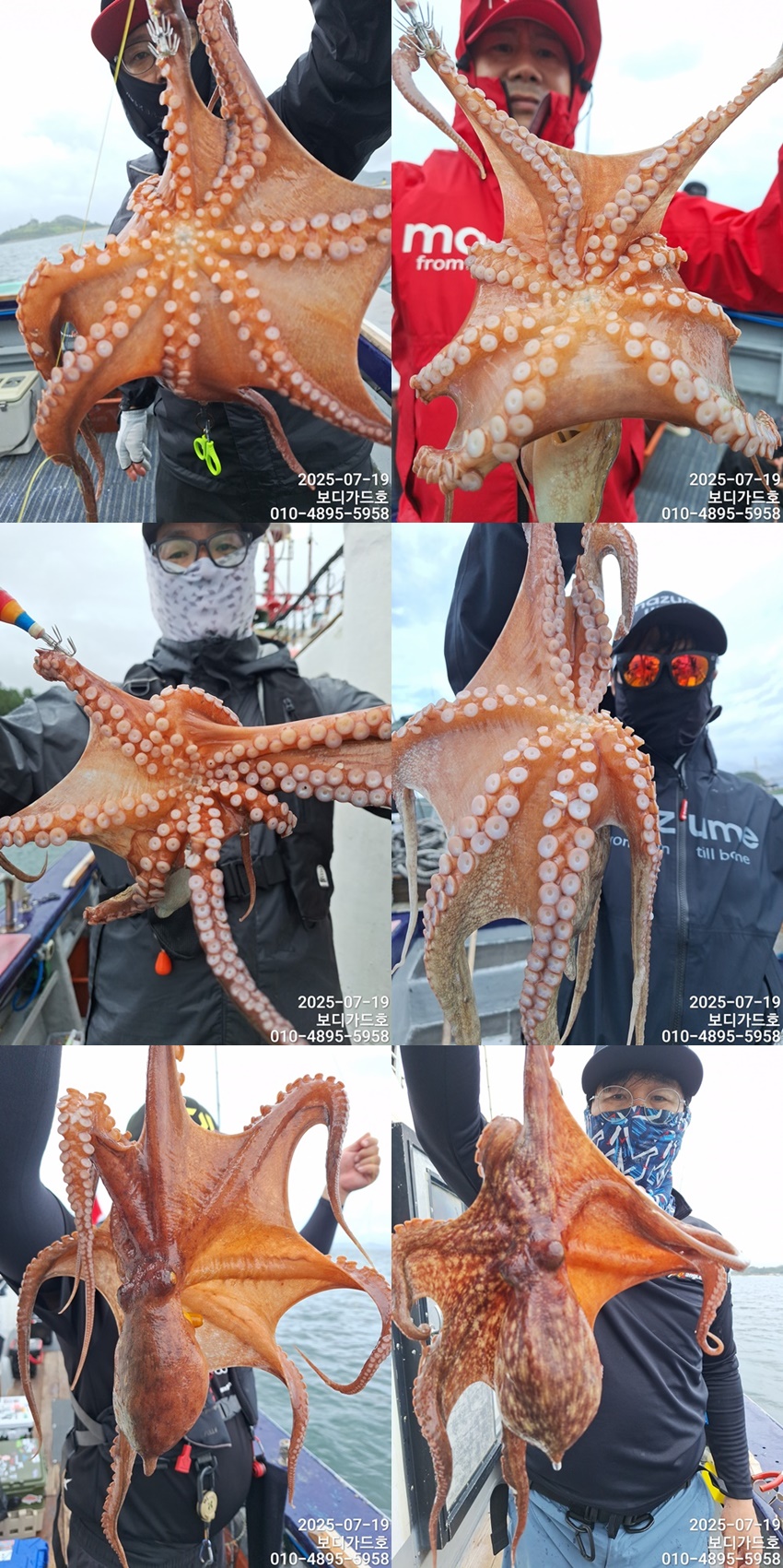 #진도보디가드호 #심선장 #고흥 #돌문어조황입니다 #자리여유