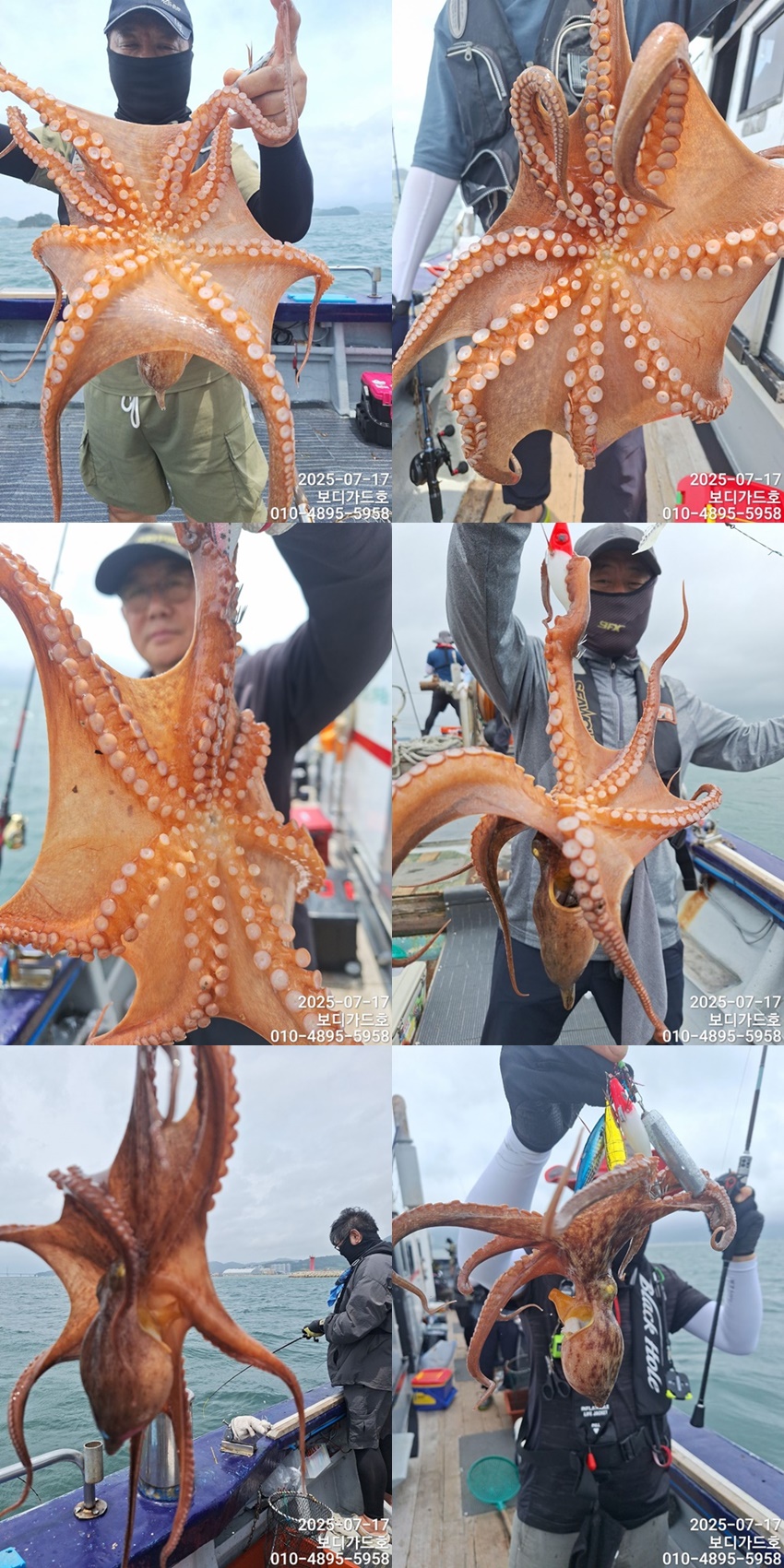 #진도보디가드호 #심선장 #고흥 #돌문어조황  #7/31(목)부터 왕갈치 출조