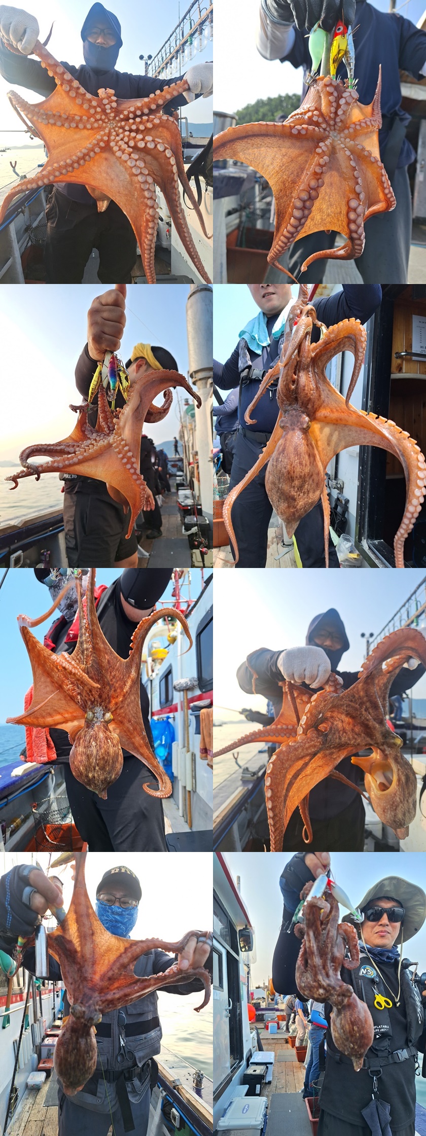 #고흥 #녹동항 #심선장 #돌문어조황 #7/31(목) #왕갈치출조 #자리여유