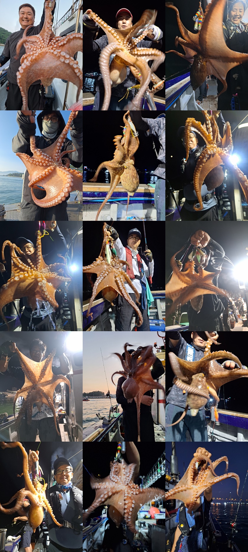 [ 진도보디가드호 ]=> 심선장=> 고흥 녹동항==> 돌문어 굿~ 조황입니다.