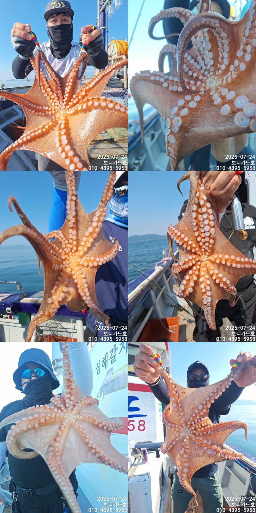 #진도보디가드호 #심선장 #고흥 #돌문어조황 #7/31(목)왕갈치출조 #자리여유