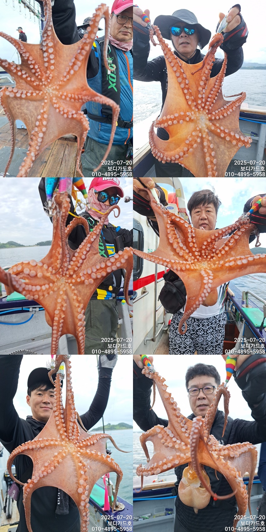 [ 진도보디가드호 ]#심선장 #고흥 #돌문어조황 #7/21(월)~7/23(수)자리여유