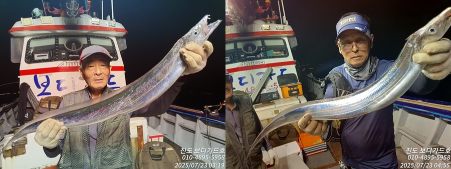 #진도보디가드호 #갈치탐사겸 #조업다녀왔습니다. #올해갈치 낚시 기대가 됩니다. #자리여유