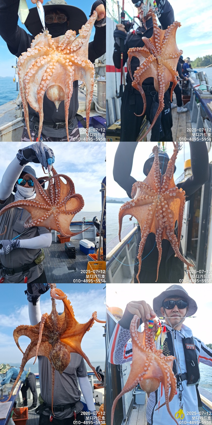#보디가드호 #심선장 #고흥 #돌문어 #조황 #7/31(목)자리여유 #왕갈치출조