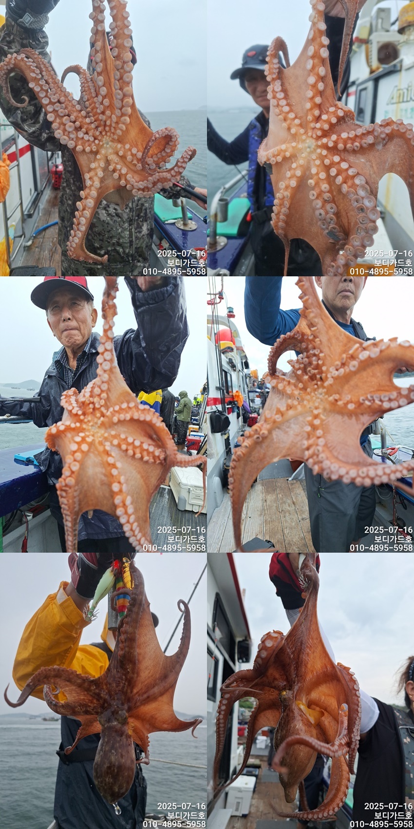 #진도보디가드호 #심선장 #고흥 #돌문어조황  #7/31(목)부터 왕갈치 출조