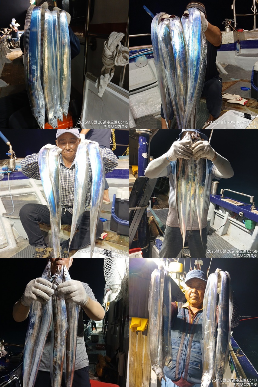 #진도보디가드호 #심선장 #왕갈치조황 #오늘자리여유 있습니다.