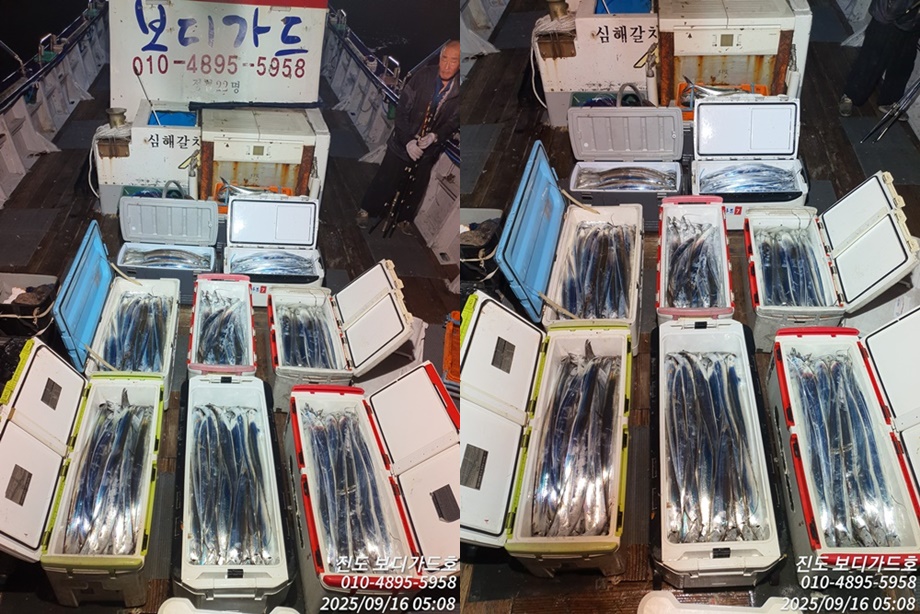 [ 진도보디가드호 ] 심선장 <왕갈치조황 // 오늘도 꽝 !!! // 자리여유 많이 있어요 >