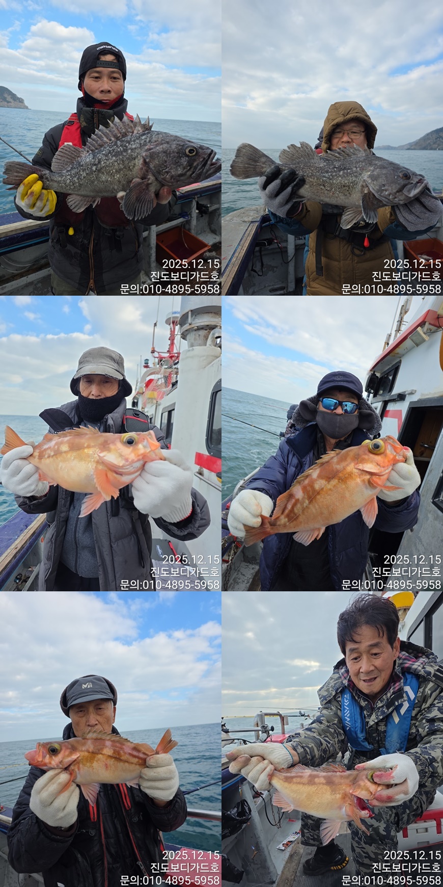 [진도보디가드호 ] #심선장 #왕열기 #왕우럭 #조황 #자리여유많이 있습니다.