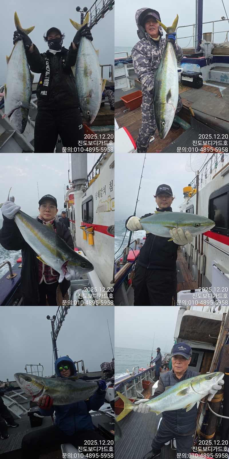 #진도보디가드호 #심선장 #대방어조황입니다. #자리여유있습니다.