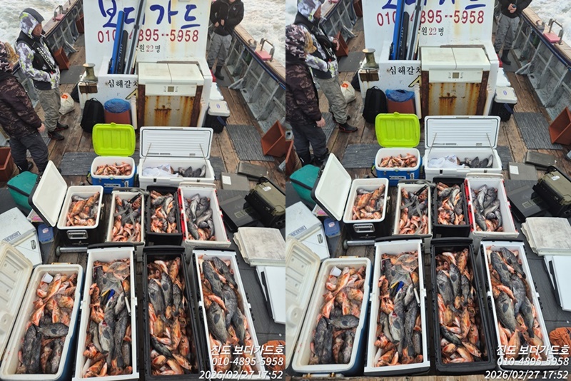 [ 진도보디가드호 ] #심선장 #왕열기&왕우럭 조황입니다. #다음주자리여유많이 있습니다.