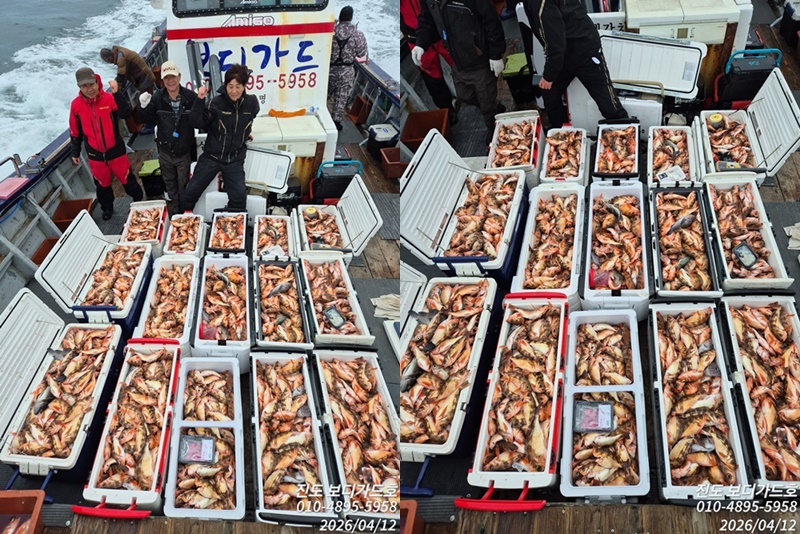 #진도보디가드호 #심선장 #왕열기#쿨러만땅!!! #굿조황 #4/14(화)자리여유