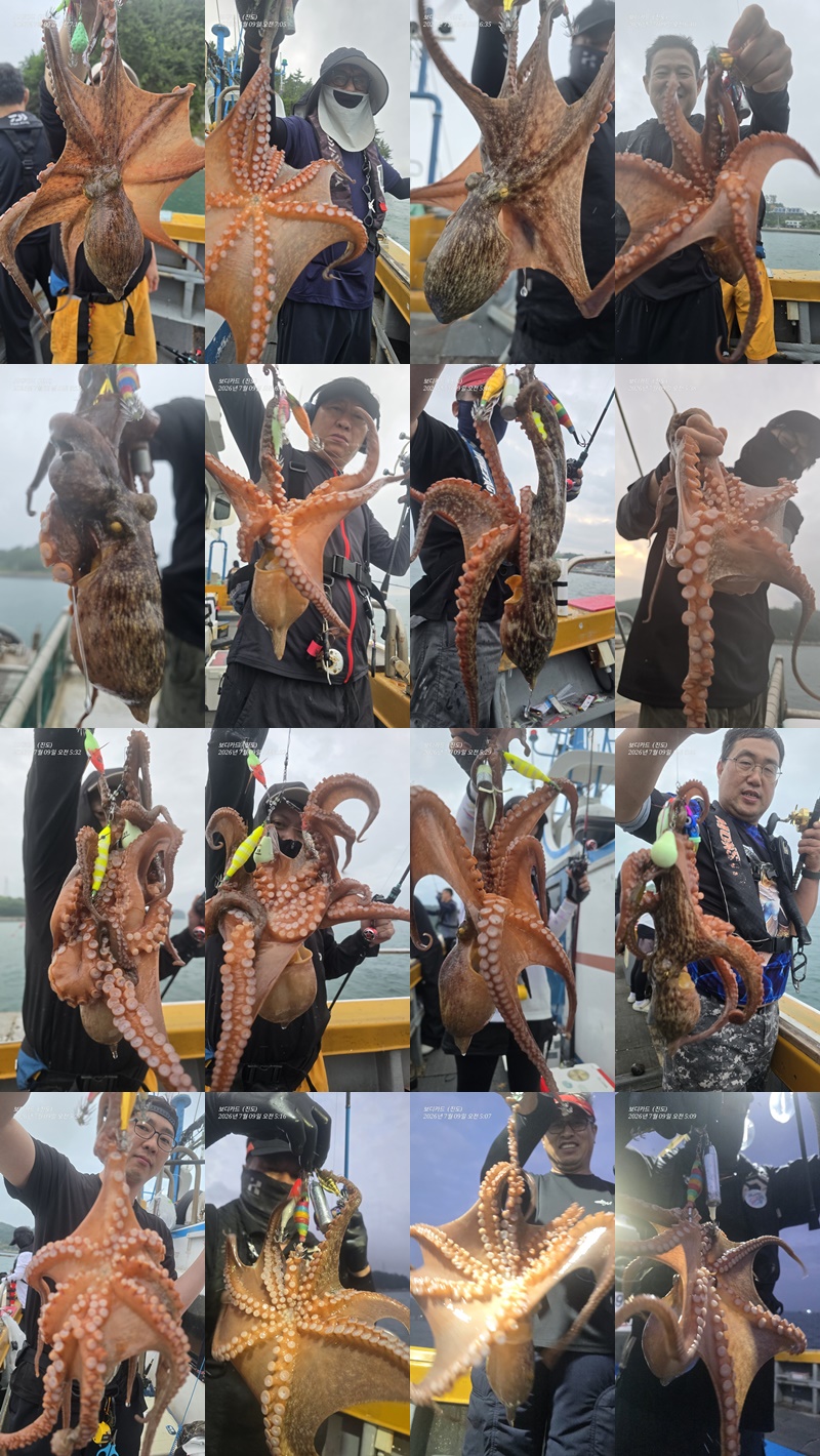 #보디가드호 #고선장 #고흥 #돌문어조황입니다. < 7/12(일) 4자리여유 있습니다. >