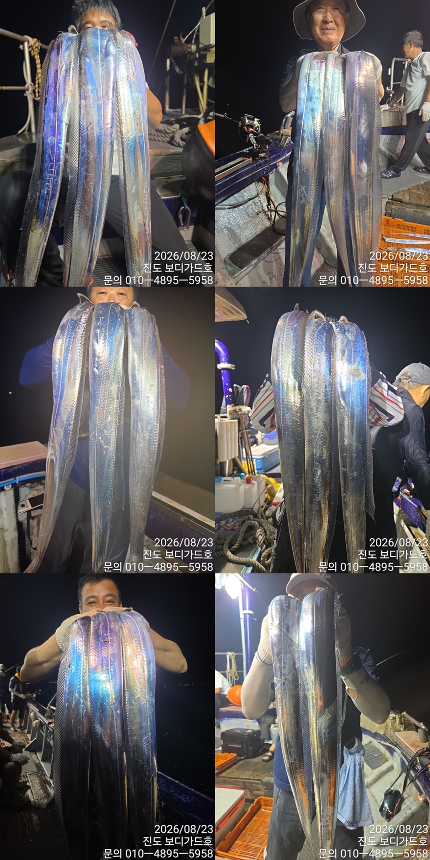 #진도보디가드호 #심선장 #왕갈치조황 #오늘2자리여유