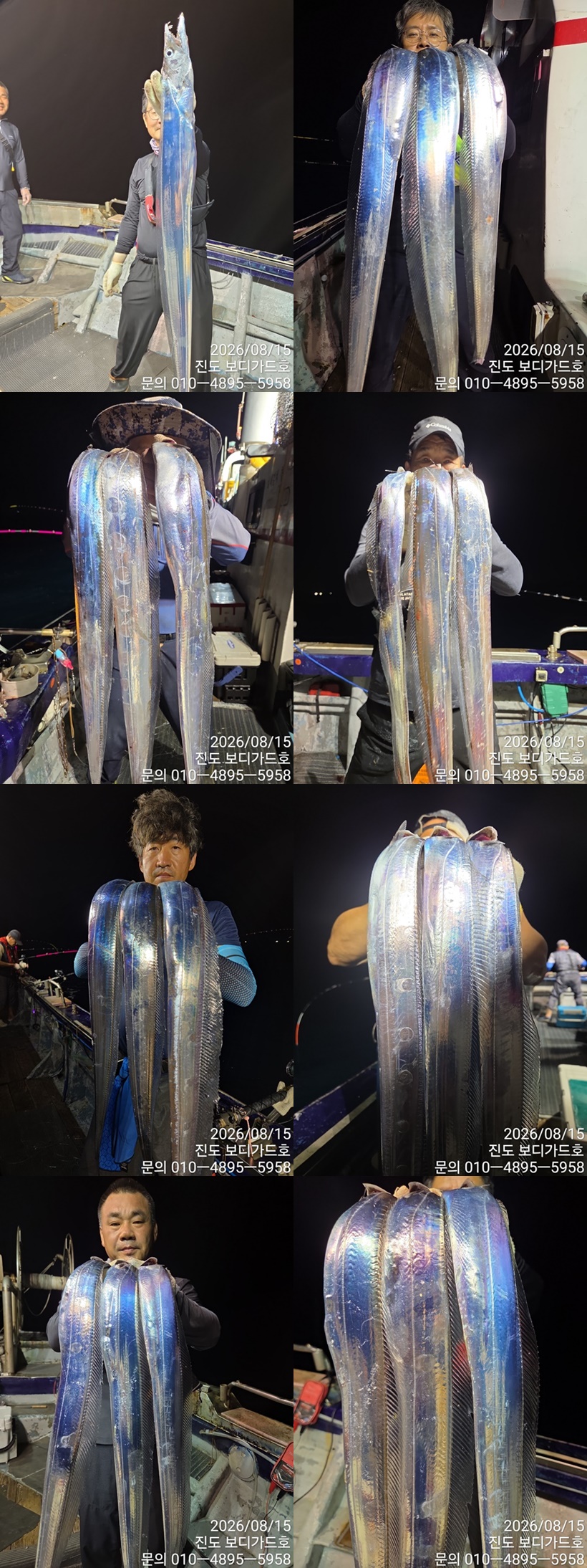#진도보디가드호 #심선장 #왕갈치조황입니다. #오늘5자리여유