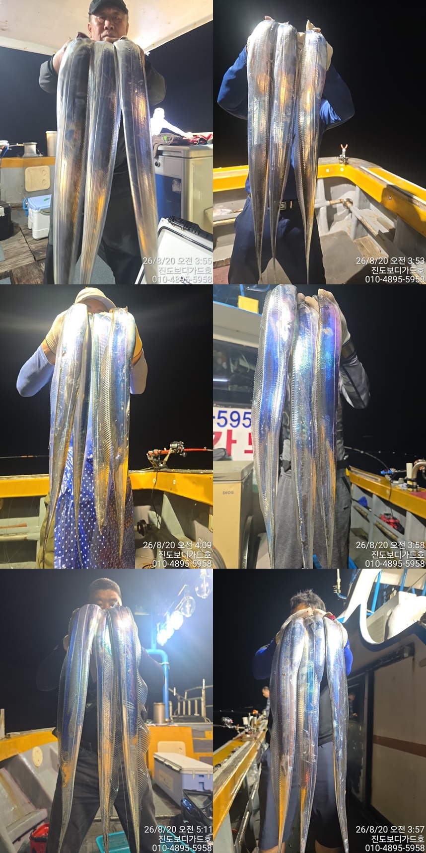 #진도보디가드허 #심선장 #왕갈치조황#오늘자리여유많이!!!