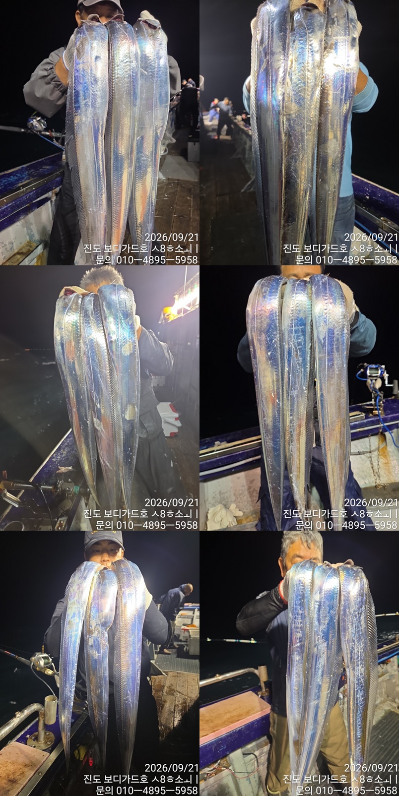 [ 진조보디가드호 ] ==> 심선장 ==> 왕갈치 조황입니다. << 오늘 자리여유 많이 있습니다. >>