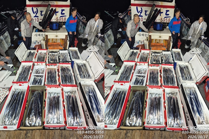 [진도보디가드호] #심선장 #초전박살!!  3지~7지~~ #새벽2시 조기철수 !!